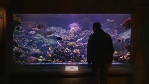 undefined Images
